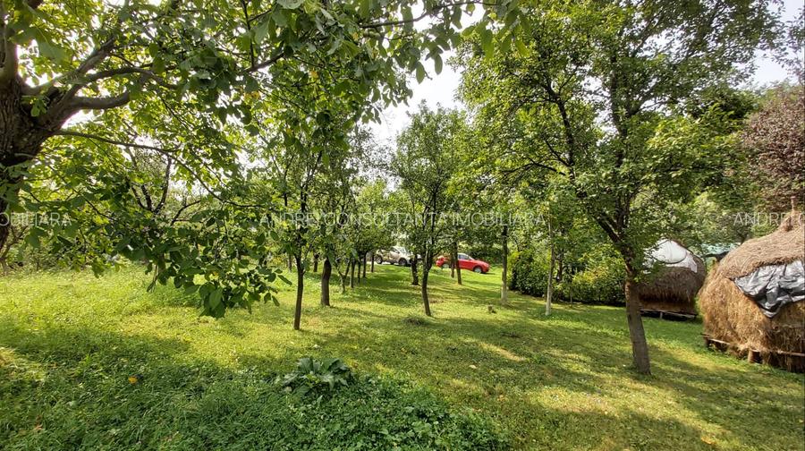 Oportunitate vanzare 6000 mp teren drept,superb toate utilitatile Breaza Prahova - 5