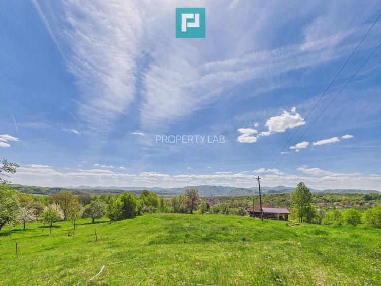 Proprietate rară cu 24.270 mp, în Măgulicea, Arad!
