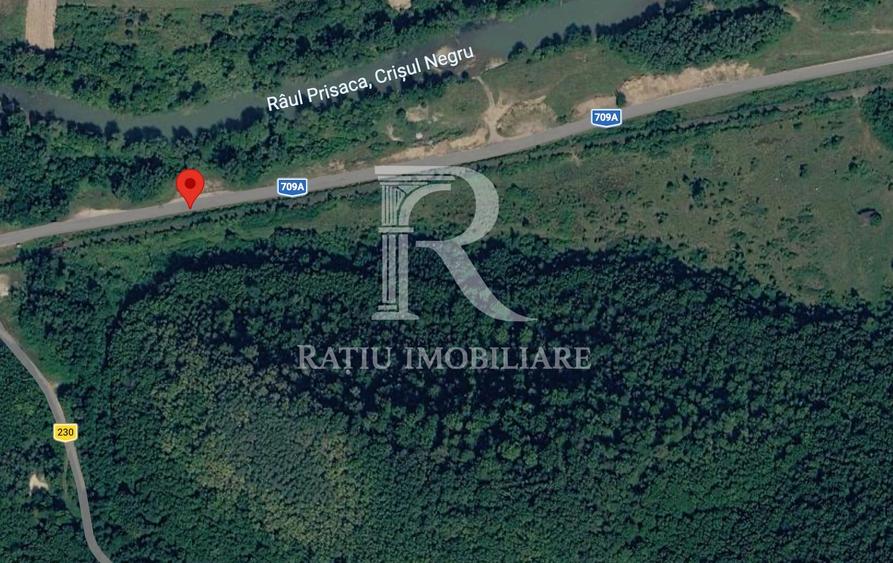 Teren Extravilan de vânzare | Șoimi | Bihor