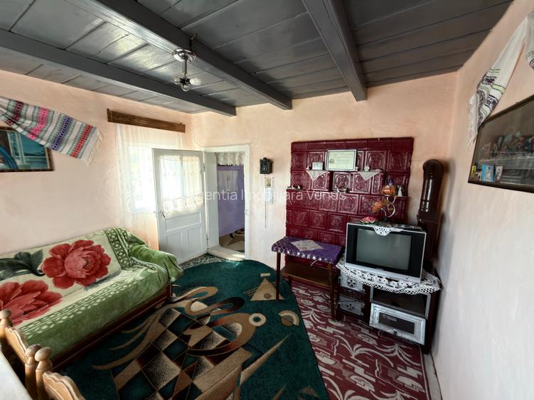 Casa noua + casa renovata in Cucorani - 10