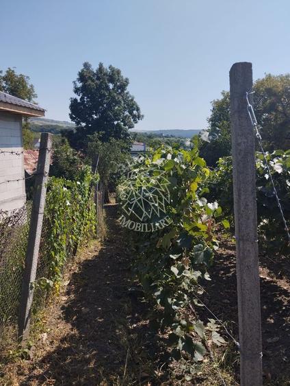 Teren intravilan 2828 mp+autorizatie casa-anexe-livada-Dorolea