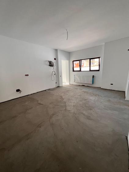 Casa Individuala - Gradina Icoanei |