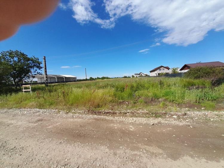 Teren intravilan Bradu 1312 mp 2 deschideri