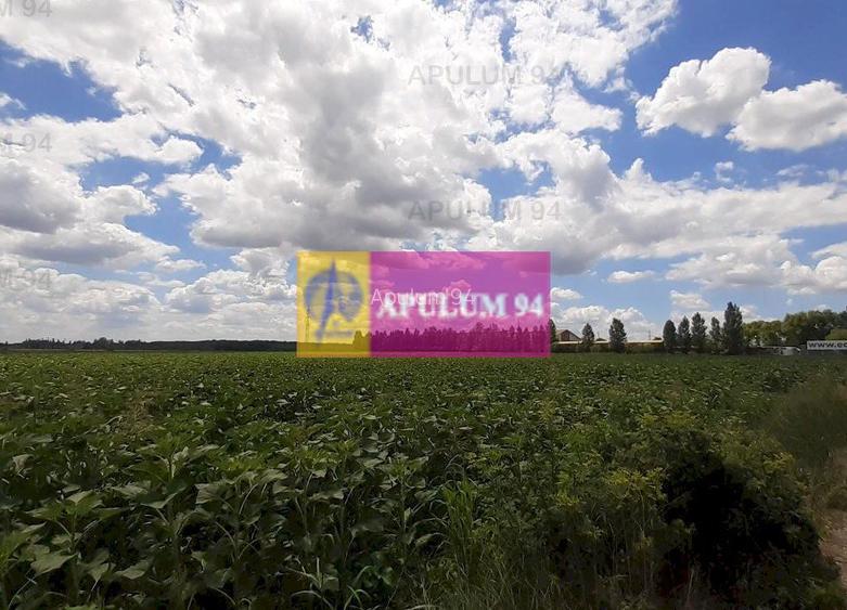 Teren 715mp în Snagov lângă Equestria - 17