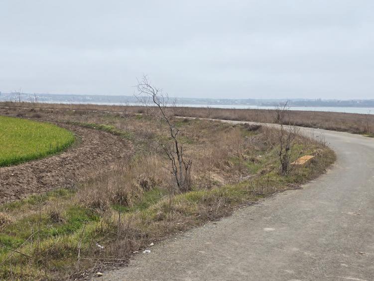 Teren de vanzare in Tuzla zona lac sarat Techirghiol