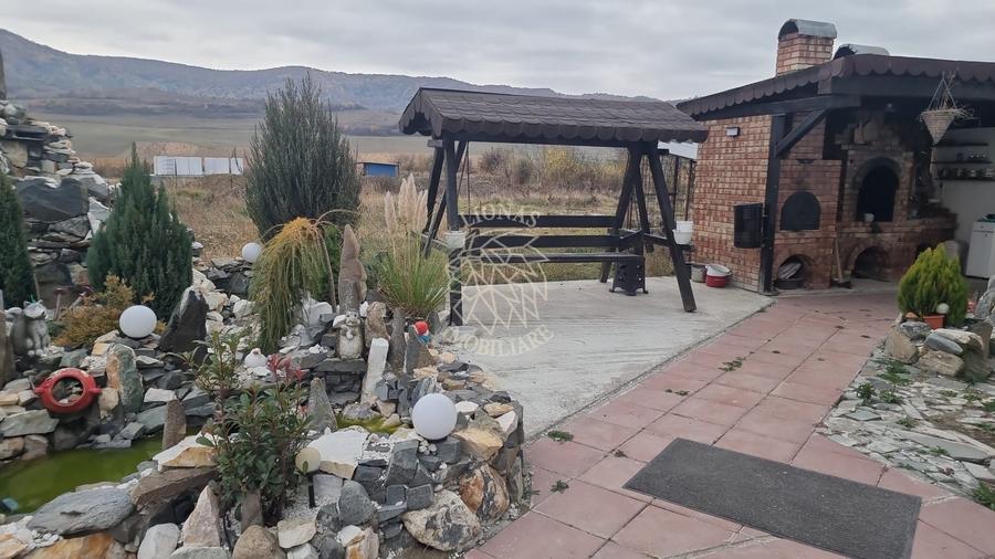 Casa de Lux 6 camere-480mp-teren 1100mp-service tinichigerie-Arcalia