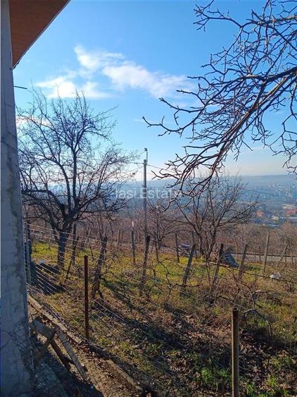 Bucium, Fundac Paun, teren1500mp. intravilan  str asfaltata - 4