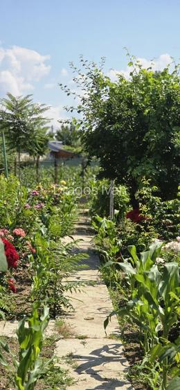 Casa cu teren 1111 metri patrati 39500 euro. Independenta, Galati - 2