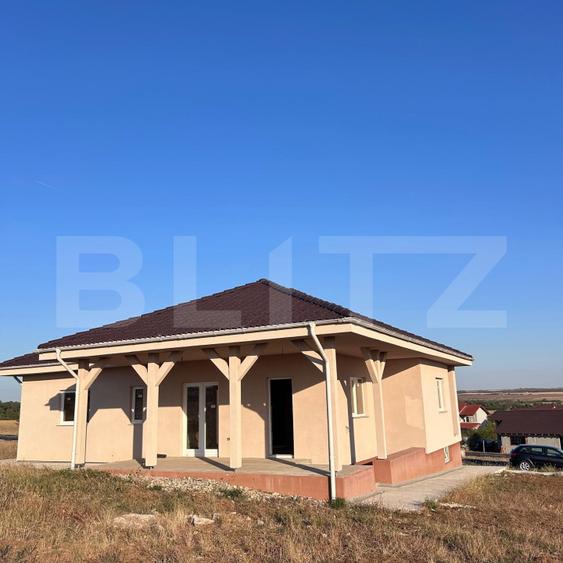 Casă individuală în Pișchia | 804 mp teren | Preț sub costul de constructie