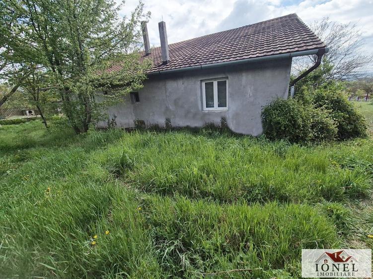Vanzare casa in Vintu de Jos - Parau lui Mihai