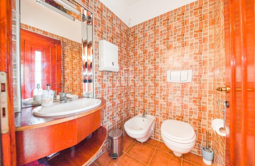 Vila/Proprietate Speciala, 500mp utili, 3300mp teren, Sangeorgiu de Ms