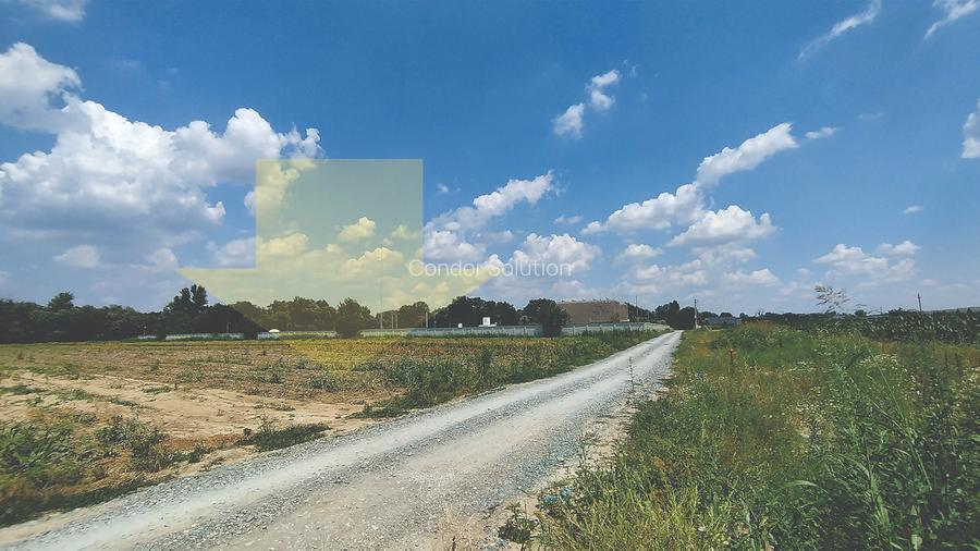 Vânzare teren 7567 mp, parcelabil, în Măgurele - 6