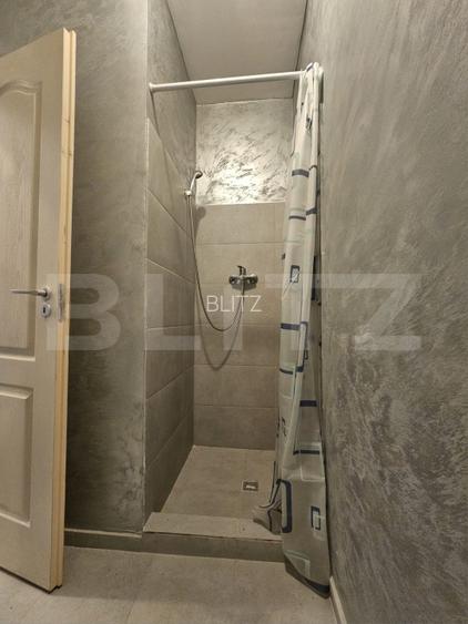 Proprietate de inchirat, 19 dormitoare, zona Dumbravita - 10