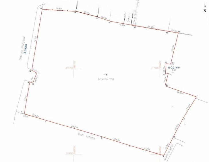 Oportunitate de dezvoltare - 22960mp - Șoseaua Giurgiului, Jilava - 3