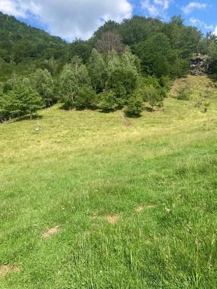 Teren intravilan 4.000 mp – Râul Mare Retezat, lângă Barajul Gura Apelor