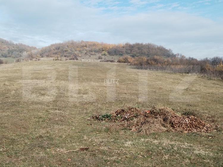 Teren intravilan 21€/mp  suprafața 3360 mp - 2