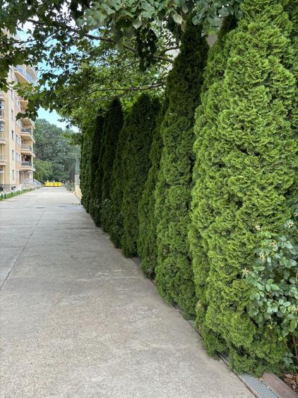 3 camere zona Iancu Nicolae | complex cu piscina