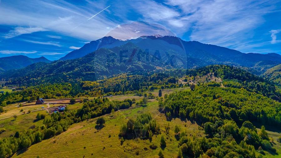 Teren Rasnov, Valea Panicelului 4253mp, izvor pe teren