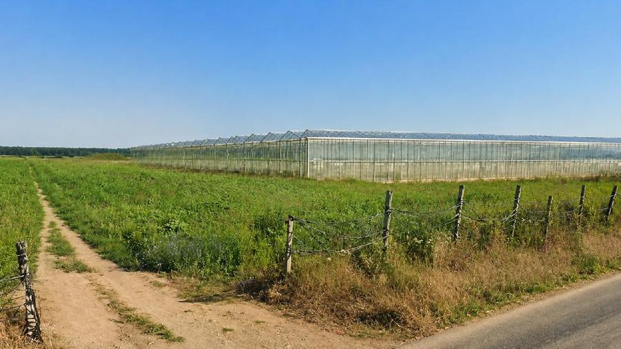 Sere 4700mp + Teren 30.000 mp, Bucsani, Dambovita