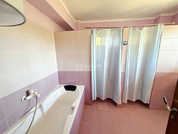 Investitie cu potential ridicat | Bucium, proprietate D+P+M, 19.598mp teren
