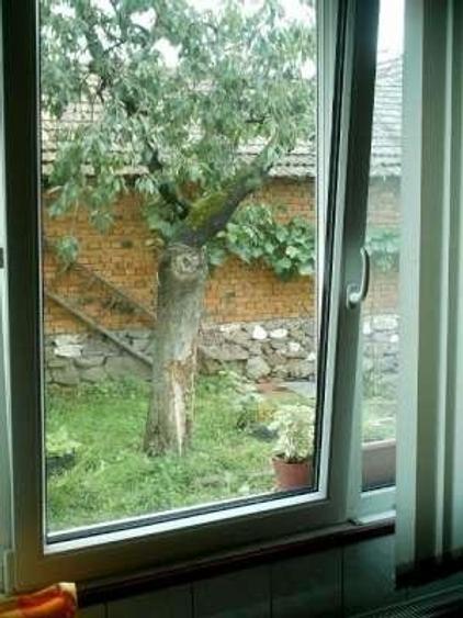 Casa Petrileni jud Bihor