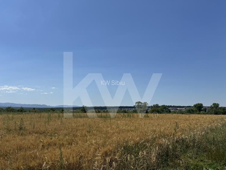 Teren 720 mp Seviș | 23 m front | Oportunitate investiție 24.480€ - 12