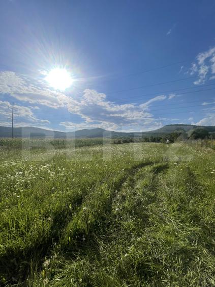 Teren intravilan Viișoara – ideal pentru casă sau investiție