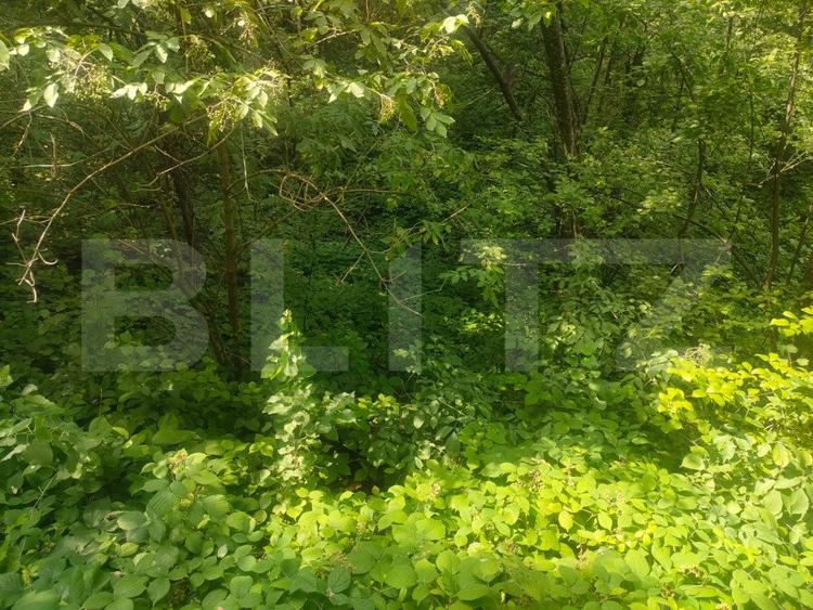 Teren intravilan, 5857 mp, Baltati, Horodnicu de Sus