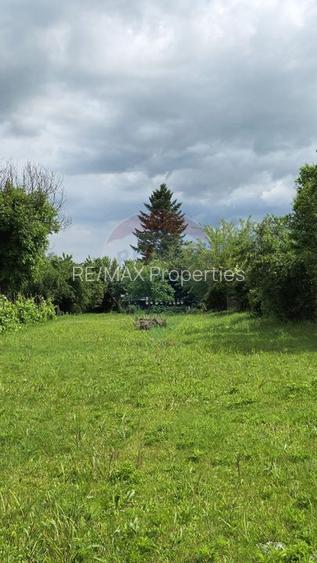 Domeniu rural, gospodarie/multifunctionala cu casa, livada, vie - 46