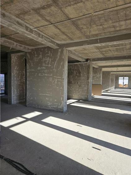 Spatiu Comercial - 300 mp - Doamna Stanca