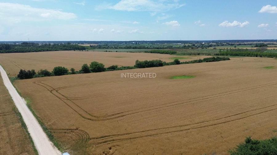 Ciolpani-Ilfov, Teren intravilan-20 ha - 9