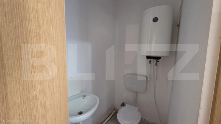 Spatiu industrial, 42 mp, zona Titulescu