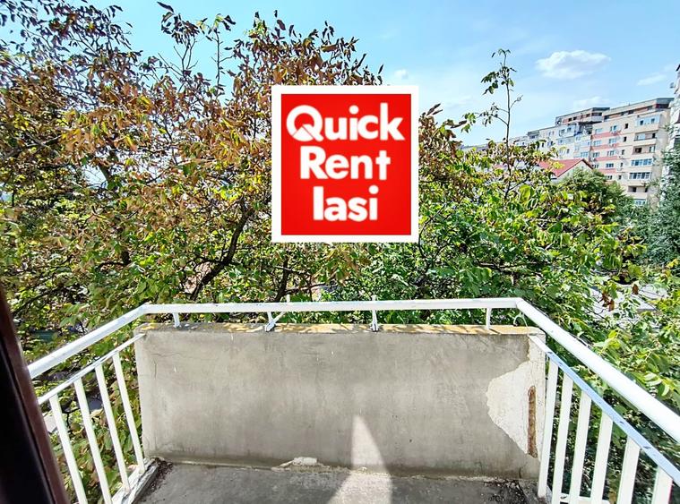 Ultracentral Zona Piata Unirii UMF/UAIC/CONSERVATOR - Apartament 2Camere - 10