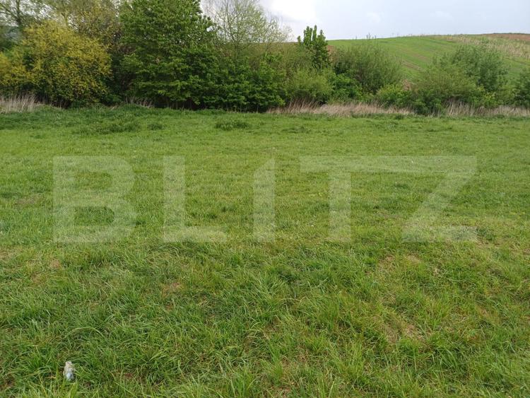 Teren de vanzare extravilan, 50 ari, Cumparatura