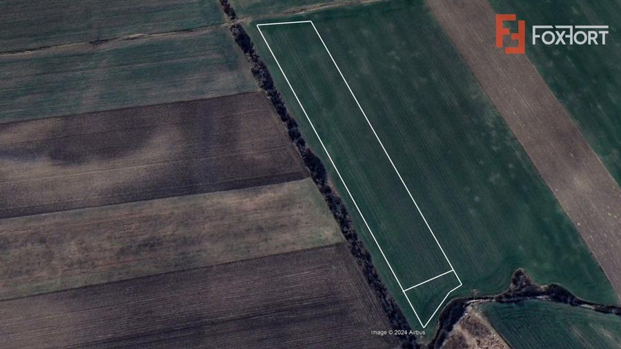 Teren intravilan in Sacalaz - Oportunitate de investitie