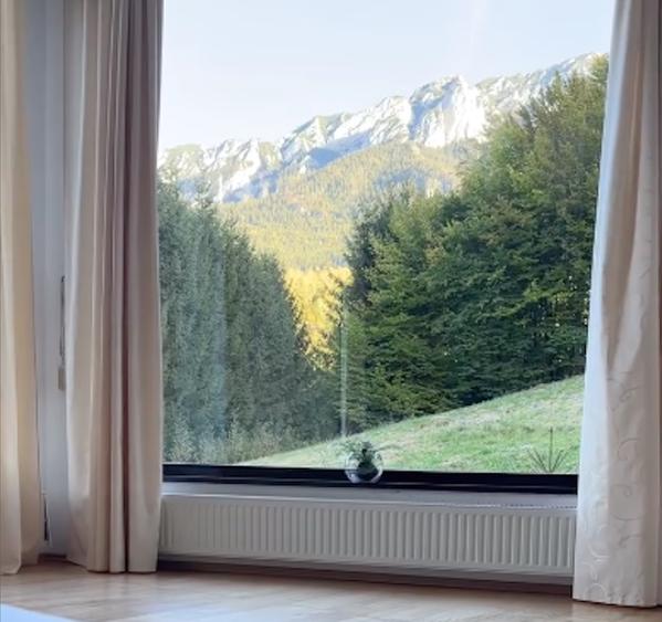 Vila de lux Brasov-Zarnesti-Piatra Craiului-Plaiul Foii, 2 HA, Gym sauna jacuzzi