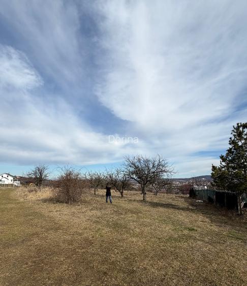 Teren intravilan, 2 x 25 ari, Livada SCPP, Strada Cerbului, Zalău, panoramă - 3