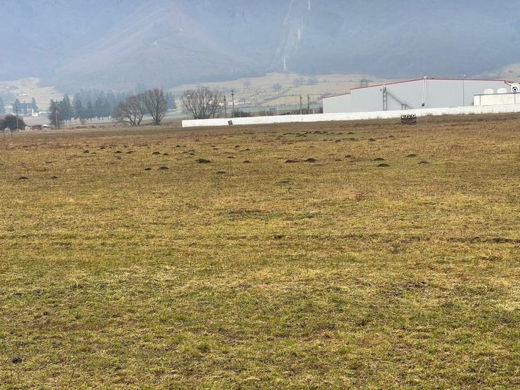 Teren Construcții intravilan de 11500 mp, în Bartolomeu