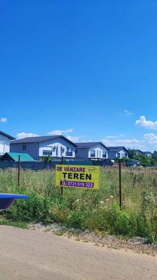 Teren intravilan 10.000mp Tunari - strada Orientului
