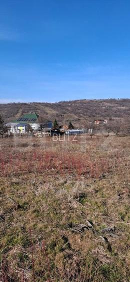 Teren intravilan de vanzare, 860 mp, cu toate utilitatile, zona Podgoria - 4