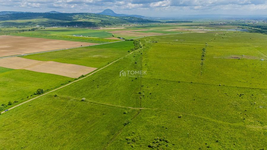 Teren de investiție în zona Tohanul Nou - Bran 5.800 mp