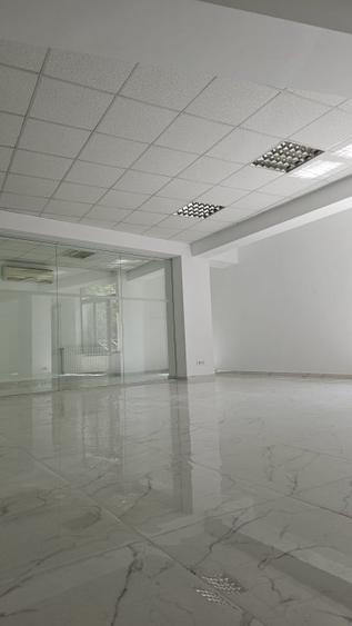 Imobil comercial de inchiriat - Bulevardul Doamna Ghica