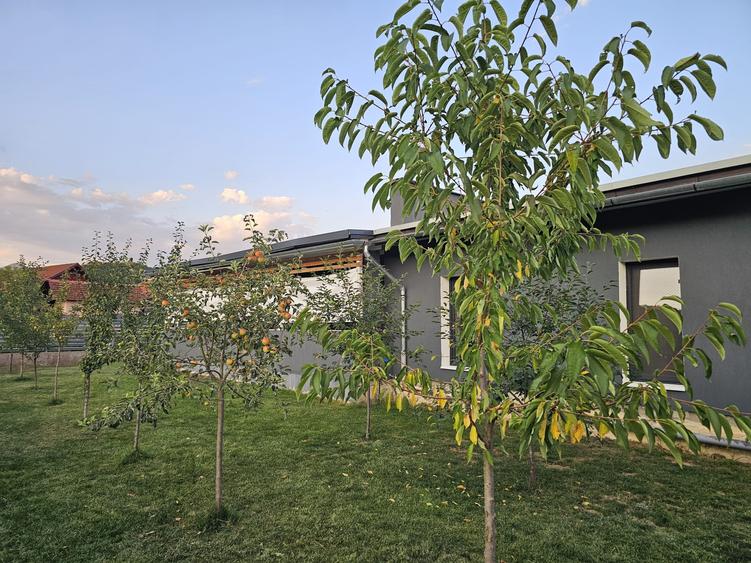 O casă superbă, construită pentru confort si eleganță