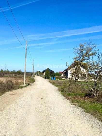 Teren Intravilan Periș – 12.500 mp - Direct Proprietar - Oportunitate Investiție - 7