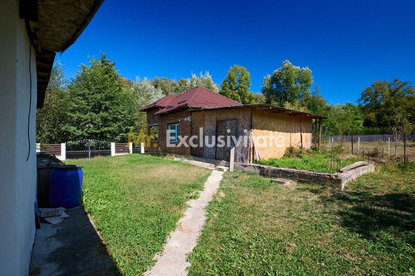 Proprietate deosebita cu doua case si teren generos – Cosesti, Arges