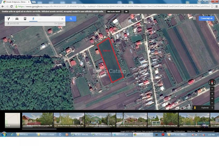 Oportunitate investiție teren intravilan Pădurea cu Tei   - 2