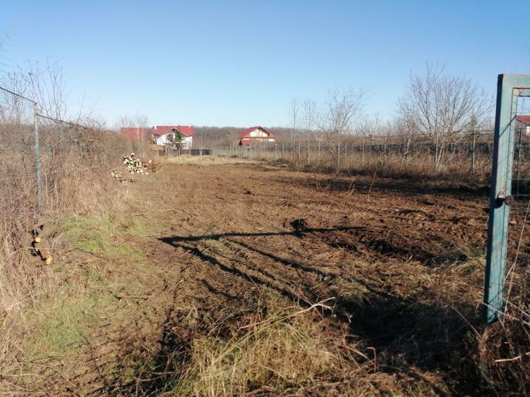 Teren constructie casa -1000 mp - Snagov, Strada Tudor Vladimirescu