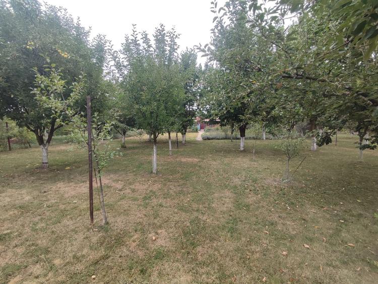 Sanadrei, Casa individuala, Suprafata teren generos, Garaj, terase si anexe