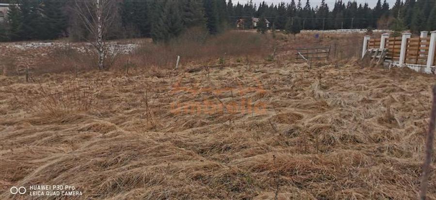 De vanzare teren 1.238m² Belis langa Pescarie - La Gavrila ! 21€m²