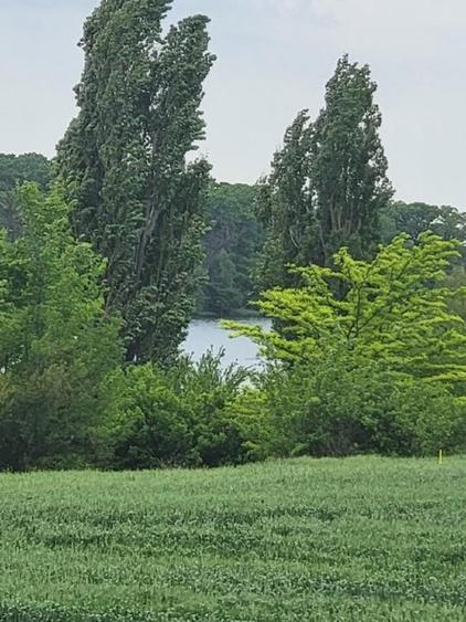 Zona lacului Corbeanca(Petresti), 520mp sau 1040mp, 90E/mp, posibil rate